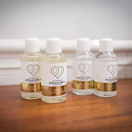 W Sercu Krakowa Cracóvia